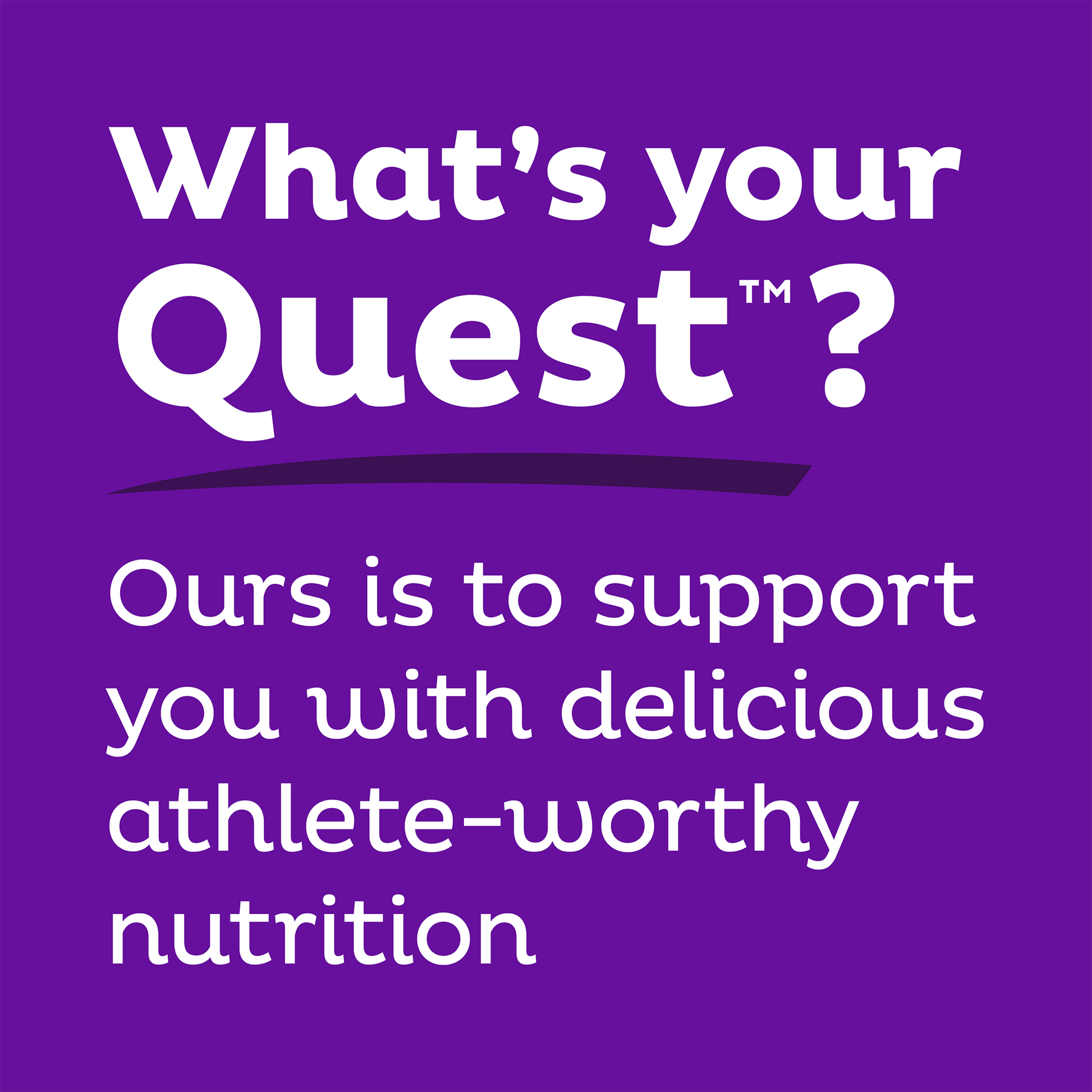 double-chocolate-chunk-protein-bars-e8 qst-000241_double-chocolate-chunk-protein-bars_9.png